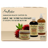 Jamaican Black Caster Oil Strengthen Kit 3pk